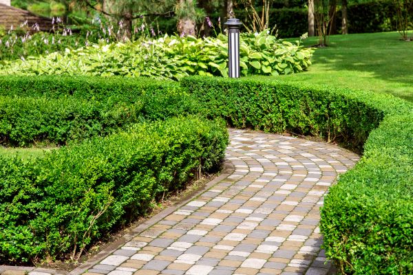Paved Landscaping in Lynnwood