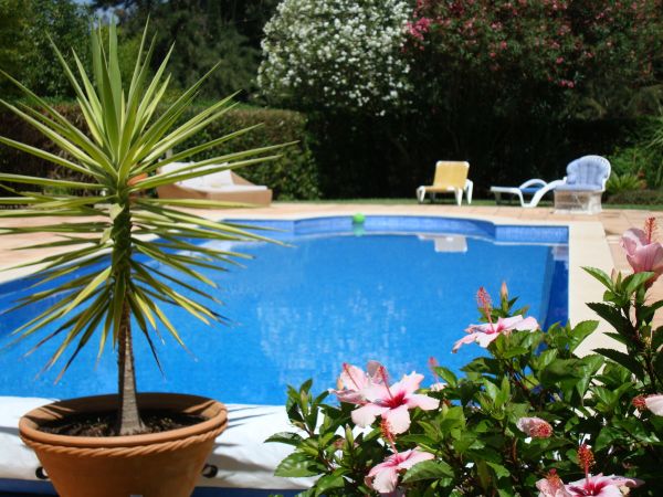 Pool Terrace Renovation in Lynnwood