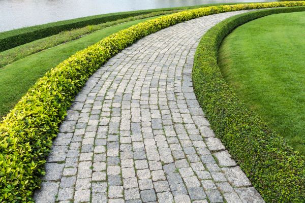 Sidewalk Pavers Installation in Lynnwood
