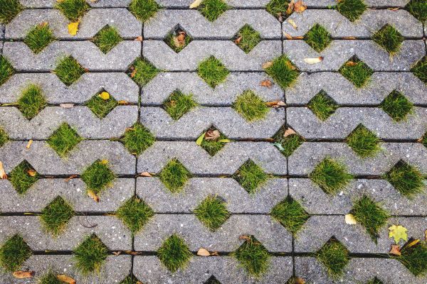 Porous Pavers Installation in Lynnwood